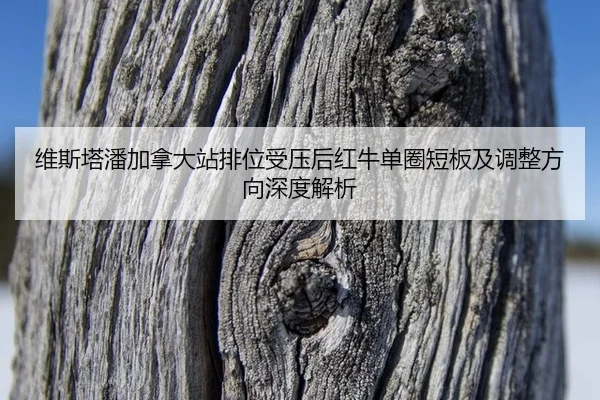 wei-si-ta-pan-jia-na-da-zhan-pai-wei-shou-ya-hou-hong-niu-dan-quan-duan-ban-ji-tiao-zheng-fang-xiang-shen-du-jie-xi-2-869.jpg