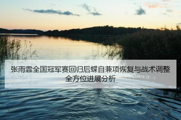 张雨霏全国冠军赛回归后蝶自兼项恢复与战术调整全方位进展分析